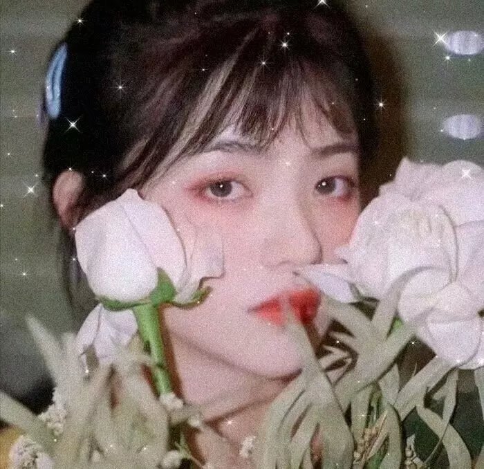 云雨情花